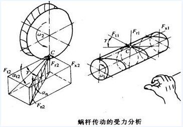 蝸輪廠家蝸輪